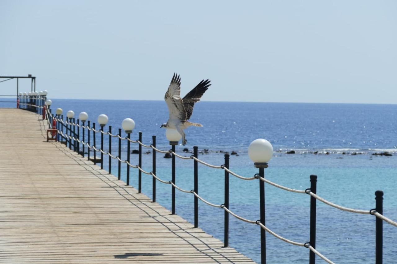 Wadi Lahmy Azur Resort - Soft All-Inclusive Abū Ghuşūn Esterno foto