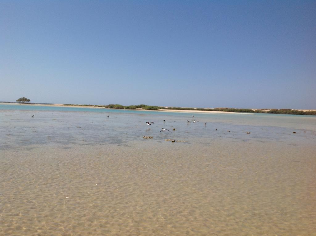 Wadi Lahmy Azur Resort - Soft All-Inclusive Abū Ghuşūn Esterno foto